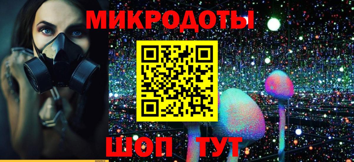 Южноуральск  Псилоцибиновые грибы мицелий  Вход с VPN 