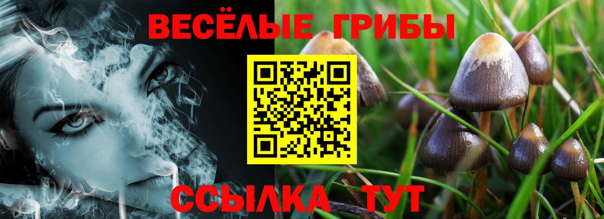 Псилоцибиновые грибы MAGIC MUSHROOMS Южноуральск